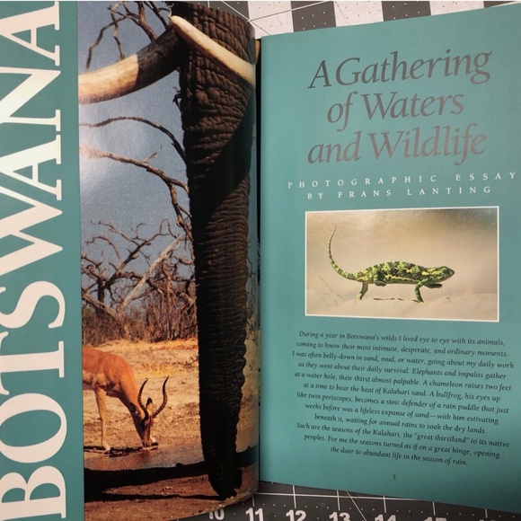 3/$16 VTG Nat'l Geographic Mag DEC 1990 Vol.178 #6 Botswana/Africa Map Poster - Picture 5 of 8